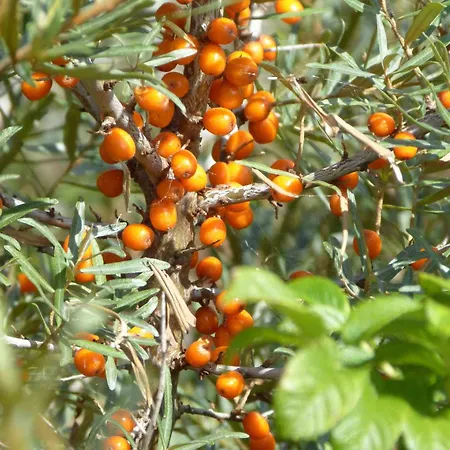 Kaeptn Brass 1 App 3 Strandgut Apartmán *